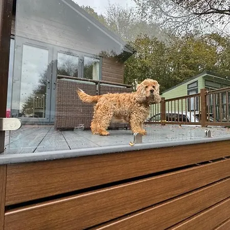 V+b Hygge Apartman Windermere