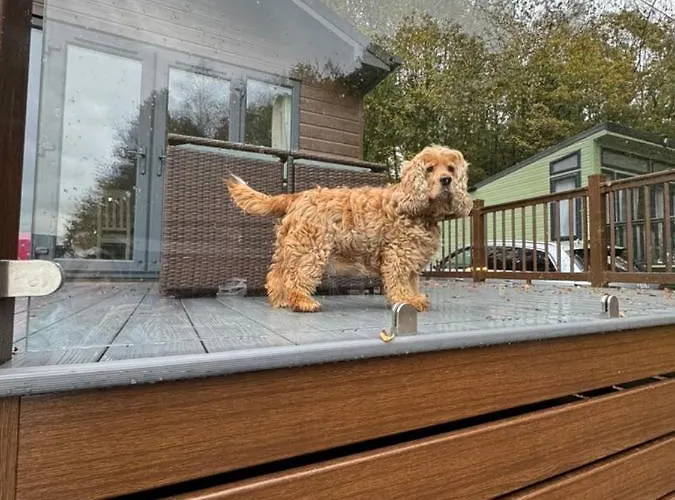 V+b Hygge Appartement Windermere